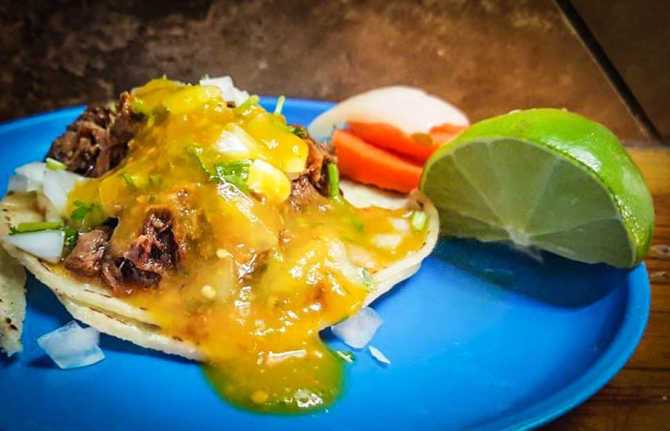 The taco al vapor with lengua at El Bukana's. Photo by Brian Addison.