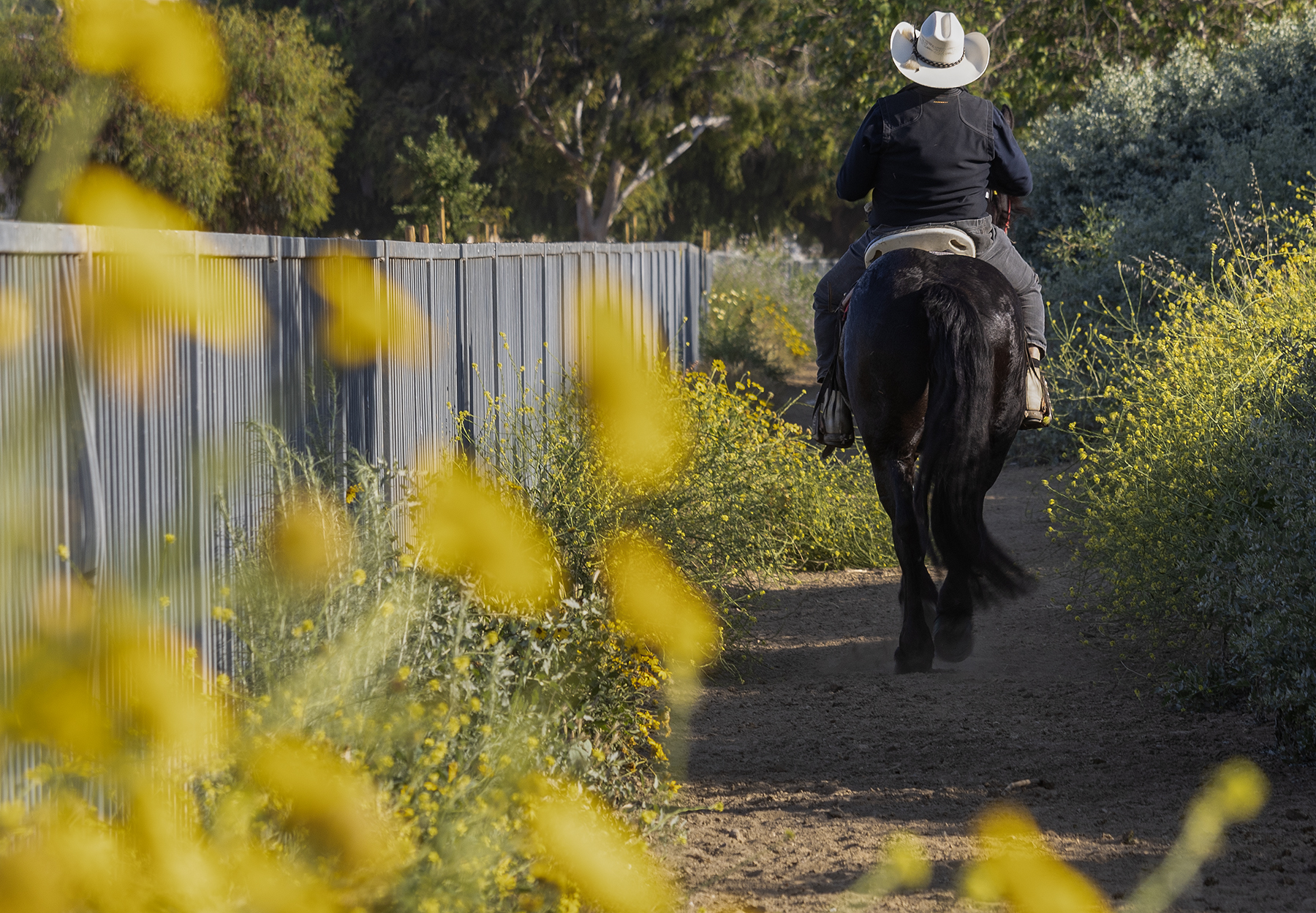 A man wearing a cowboy hat rides a black horse.