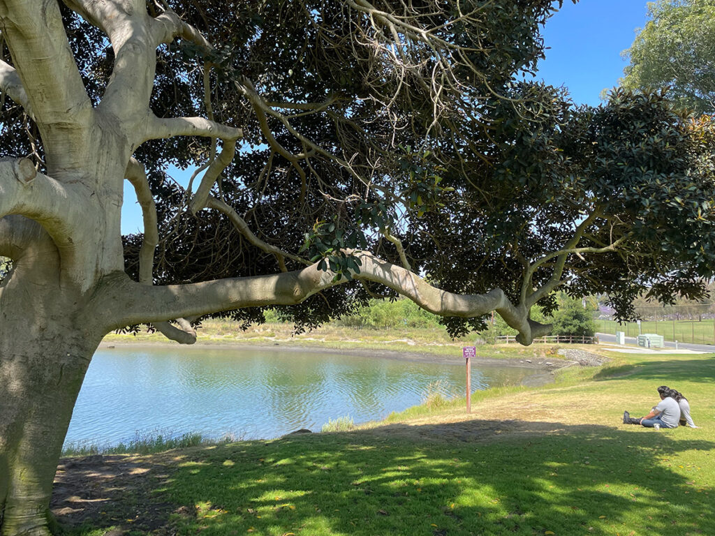 A couple sits on the grass overlooking the Colorado Lagoon in Belmont Heights.