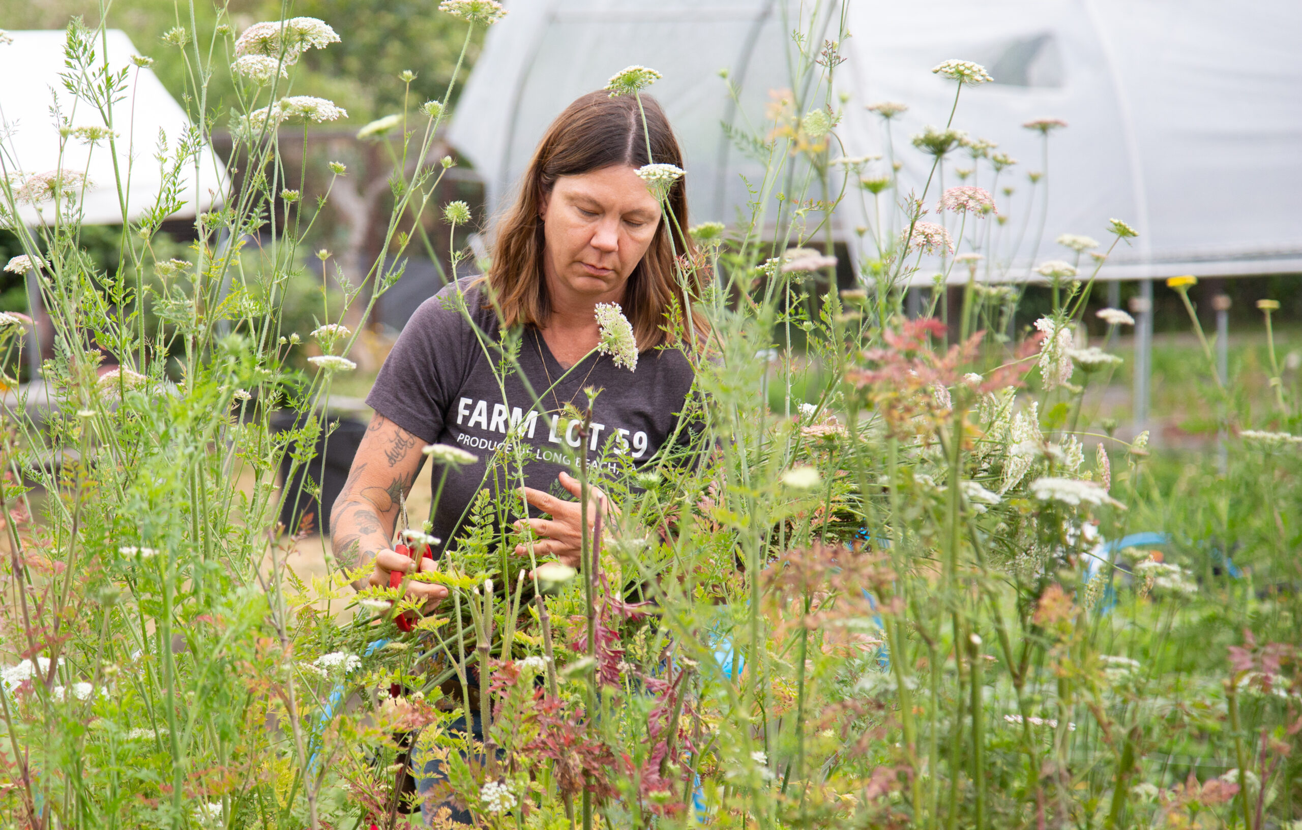 A woman wearing a t-shirt that says "Farm Lot 59" is surrounded by tall flowers. She is holding scissors.