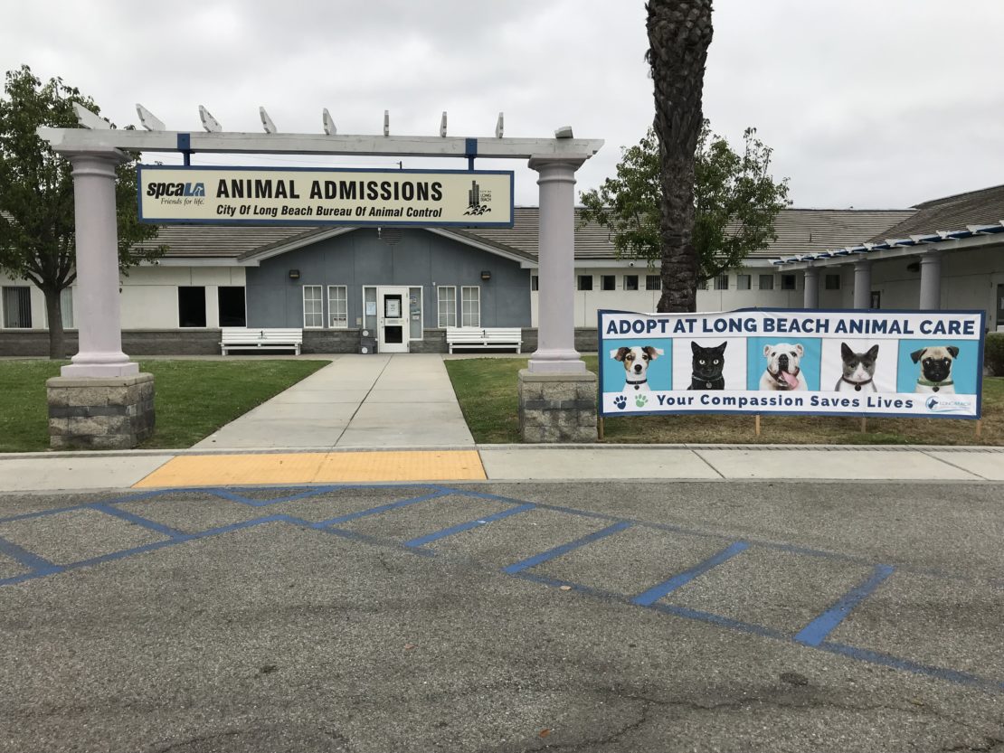 Sign saying "Animal Admissions" at left between two pillars in front of a blue building. At right is a banner saying "Adopt at Long Beach Animal Care. Adoptions Save Lives" in blue, black and white.