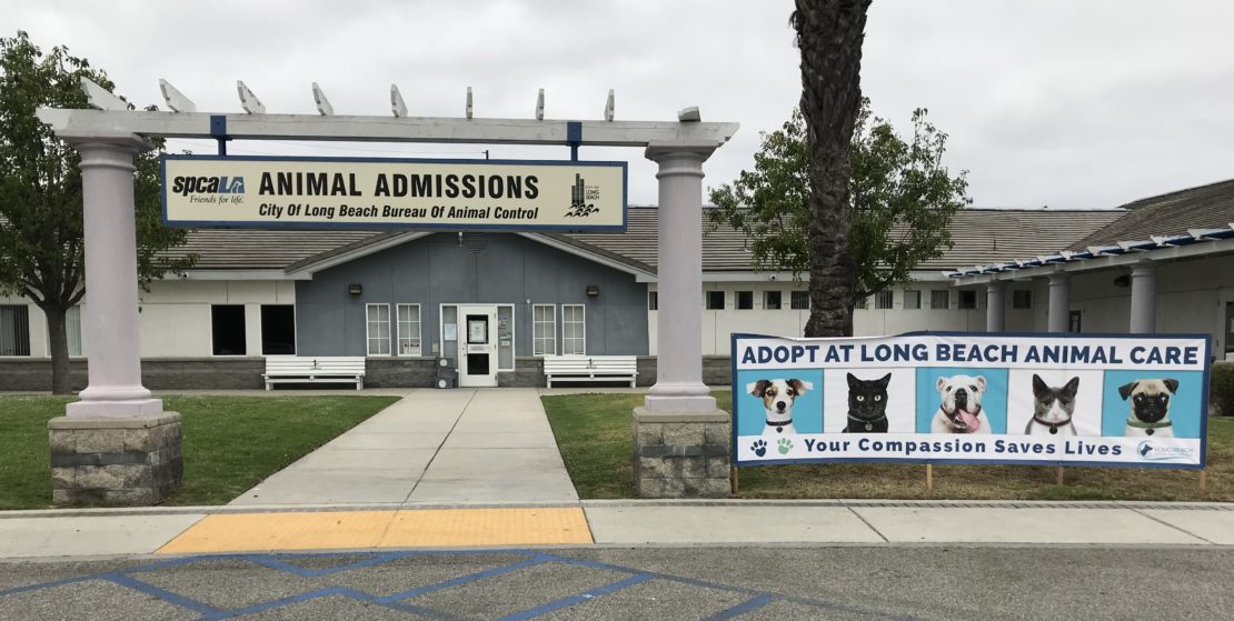 Sign saying "Animal Admissions" at left between two pillars in front of a blue building. At right is a banner saying "Adopt at Long Beach Animal Care. Adoptions Save Lives" in blue, black and white.