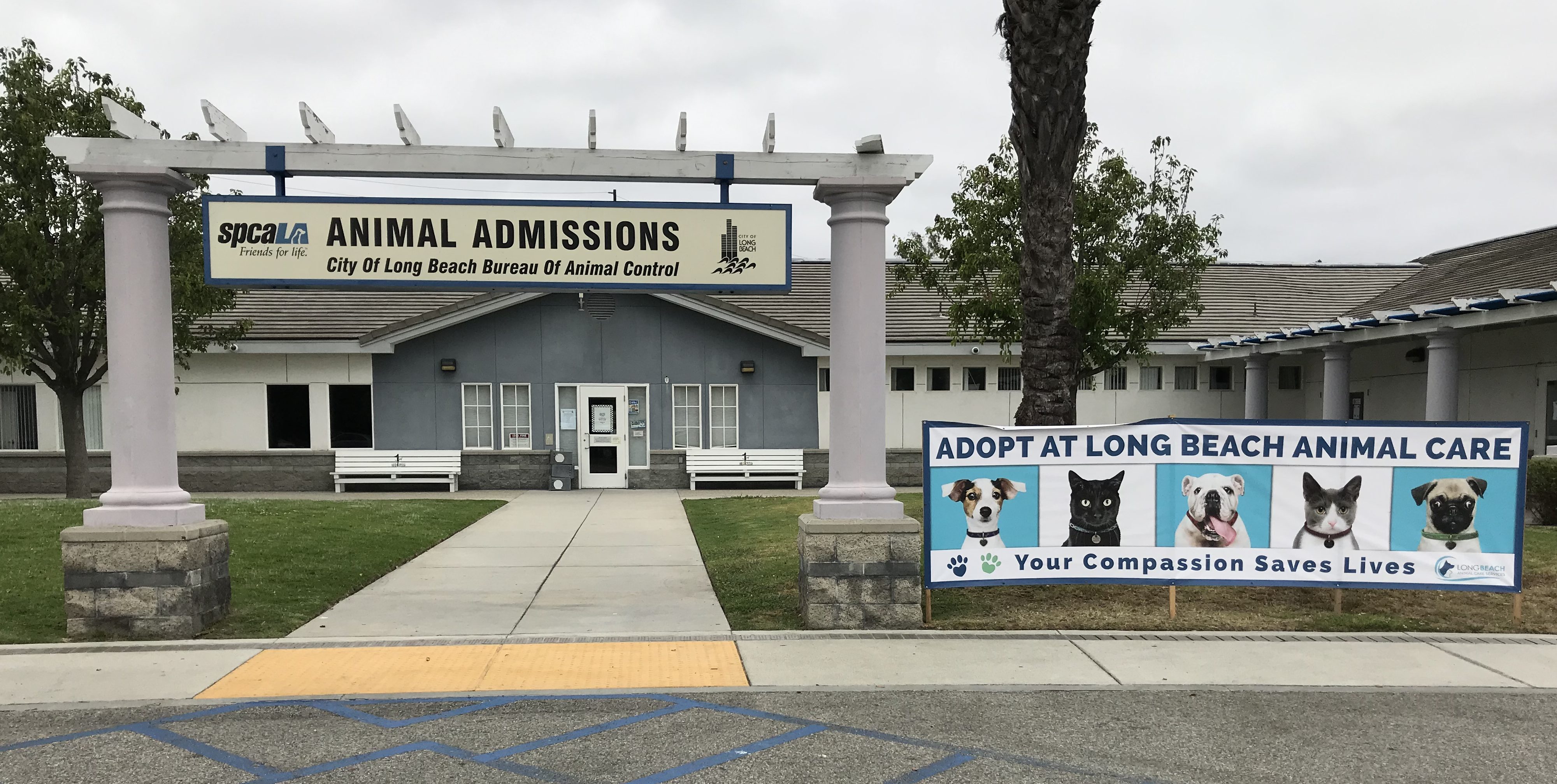 Long Beach Animal Shelter Spca