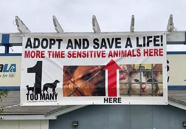 Banner pointing the way to the shelter, with the One Too Many sign on the left. Banner says "Adopt and Save a Life--More Time Sensitive Animals Here."