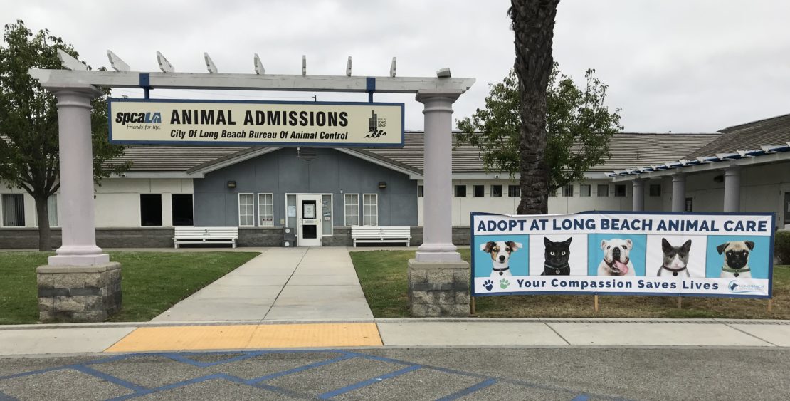 Blue building in distance, sign over it saying "Animal Admissions," between two white pillars. To the right is a banner with blue highlights and animal faces that reads "Adopt at Long Beach Animal Care.