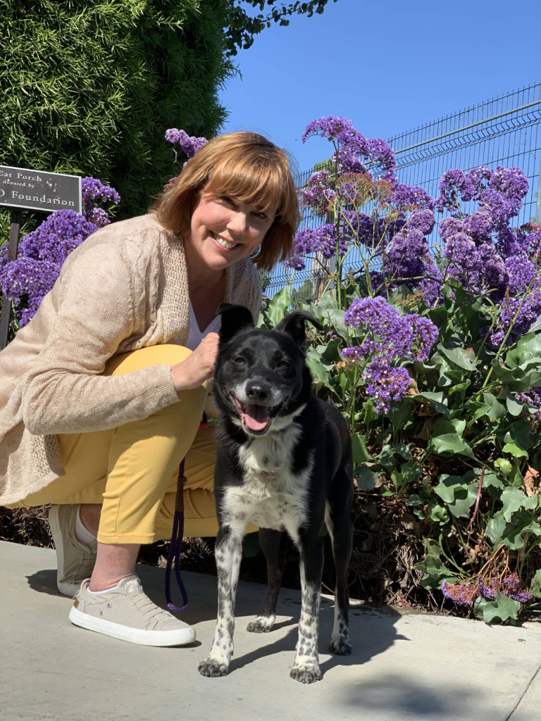 Woman with short blonde hair and wearing a light-colored shirt and pants squats next to a black-and-white cattle dog mix in a background of flowering bushes.