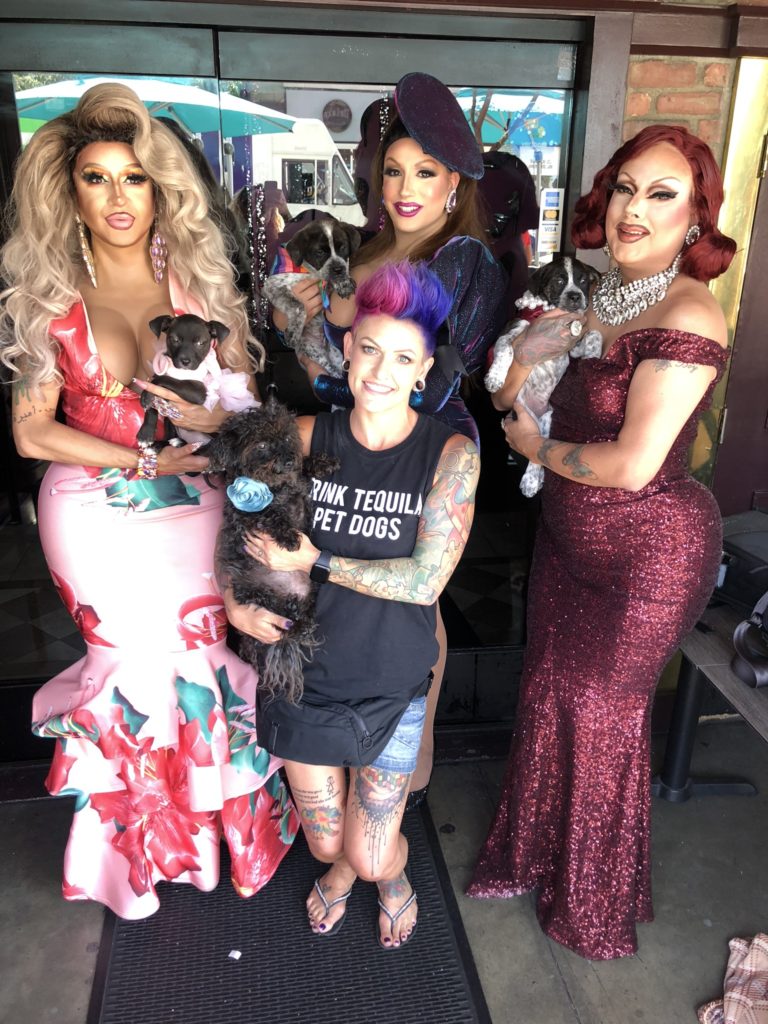 Three drag queens and one woman pose with dogs. The queens have colorful, bright clothing and the woman has short magenta hair and a T-shirt that says "Drink tequila! Pet dogs!"that says 