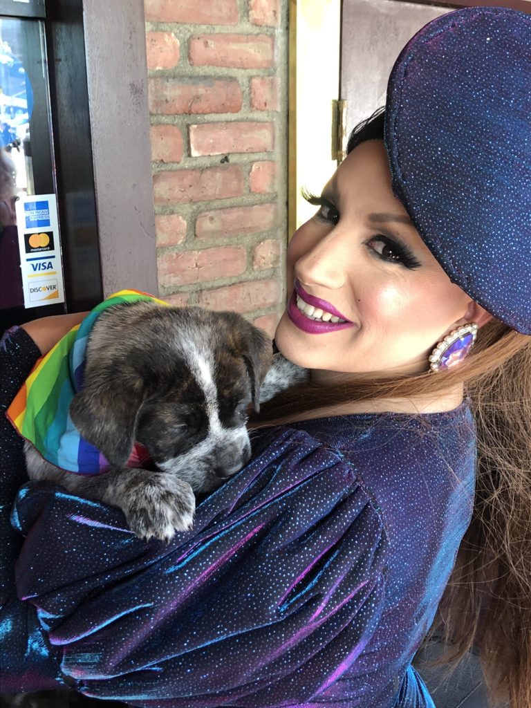 Drag performer wearing a blue platter hat and a matching blue dress holding an English bulldog-mix puppy.