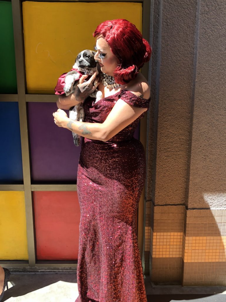 Drag performer with bright-red hair and a long, red sequinned dress holds bulldog mix