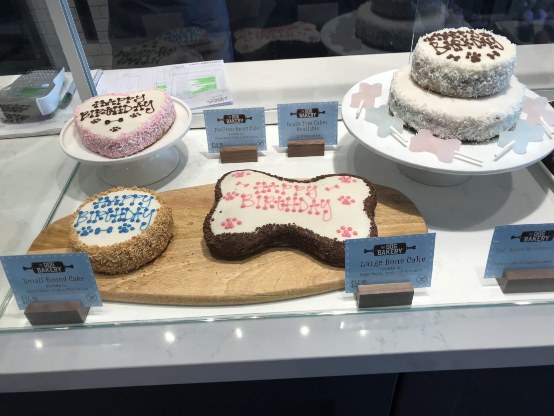 four cakes in a display case, for dogs. Two are small and round, one with pink and other with blue icing; one is bone shaped with pink icing, and other is larger, with brown icing and surrounded by bone-shaped birthday candles.