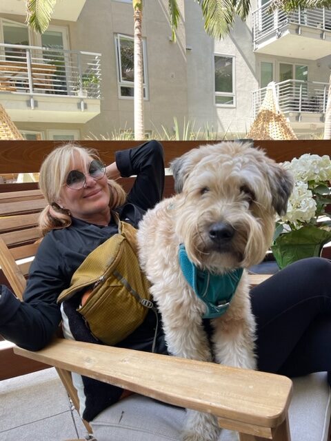 Blond woman in pullover in sunglasses sits on bench with enormous dog on lap.