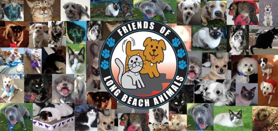 a cartoon gray cat and a cartoon tan dog, both with tags and collars, look happily out o a circle with Friends of Long Beach Animals written on it and blue pawprint designs. The background shows photos of cats and dogs that have been rescued.