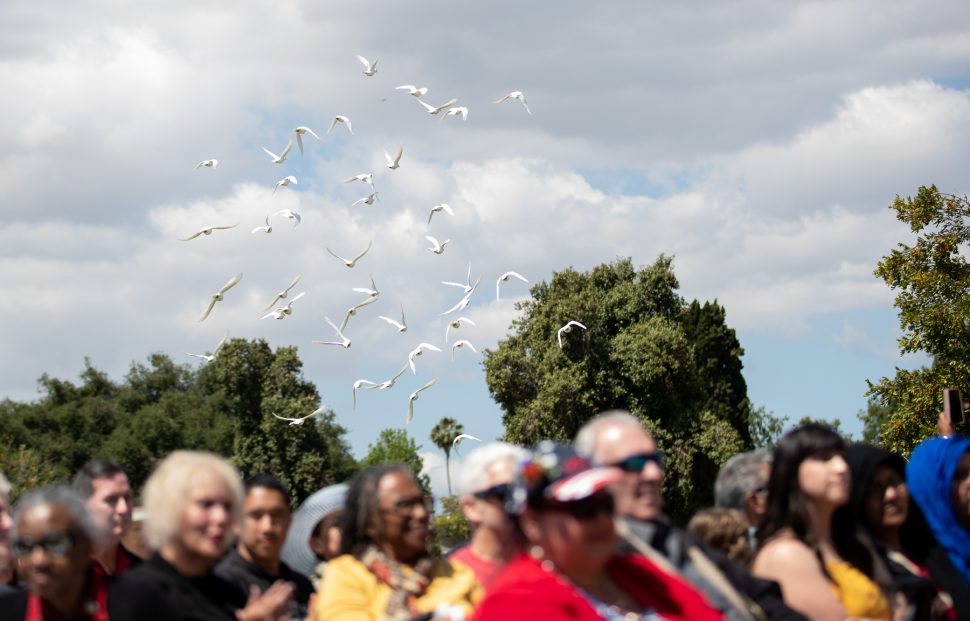 White doves fly away during the "Armed Forces Medley" attends the Forest Lawn Memorial Day event in Long Beach Monday, May 27, 2019. Photo by Kelly Smiley