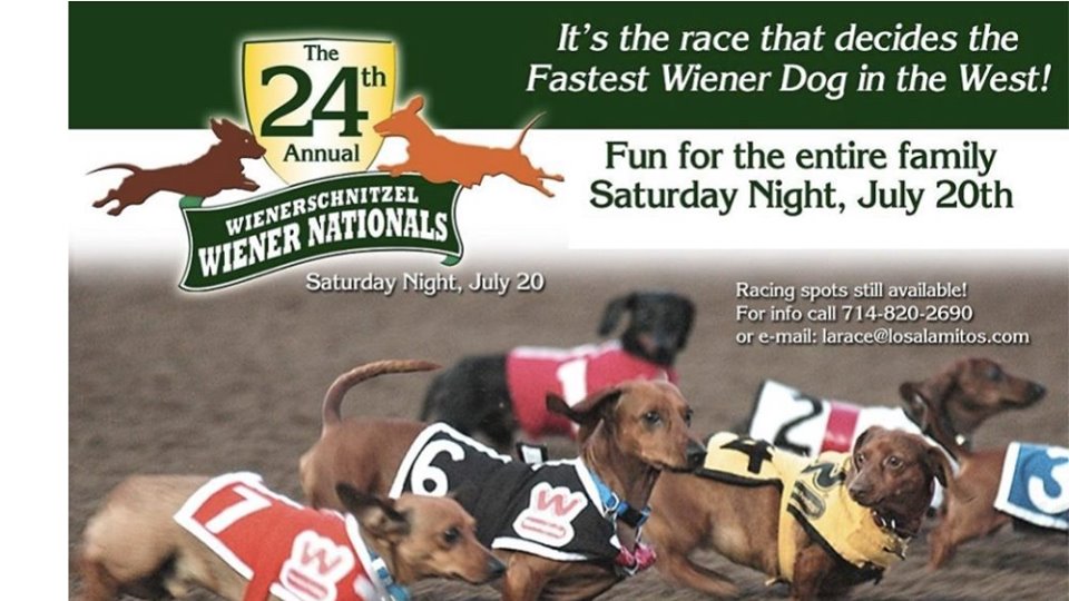 Pay it forward for pets casino nighttime