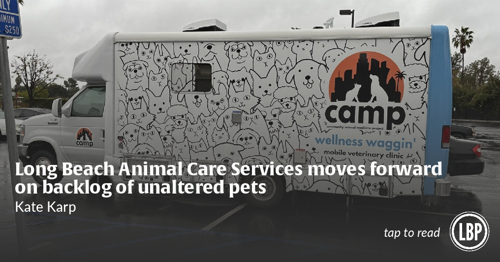 Long Beach Animal Care Services moves forward on backlog of unaltered pets - Vimarsana News